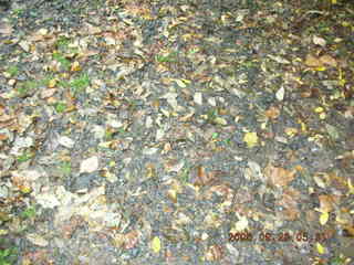 Princeton run -- Pretty Brook