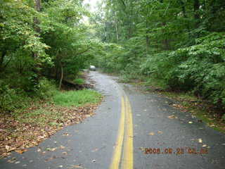 Princeton University