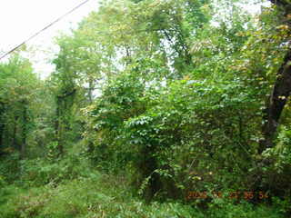 Princeton run -- Pretty Brook