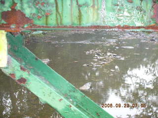 Princeton run -- Pretty Brook