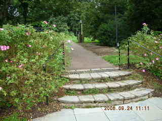 Morris Arboretum -- rose garden steps