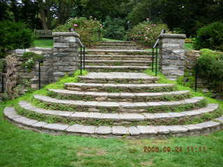 Morris Arboretum -- rose garden steps