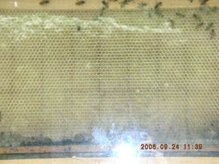 Saarbrucken -- Karstadt -- Germany