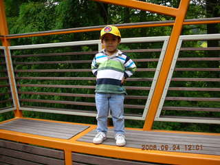 Aerial -- my shadow on my wing