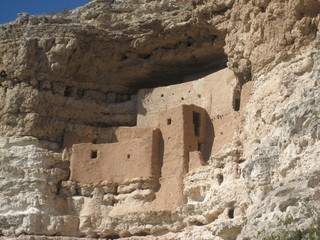 Morris Arboretum -- bees in apiary