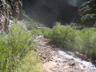 Christoph G. picture -- Grand Canyon -- creek