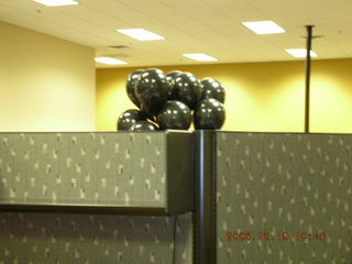 Happy 50th birthday black balloons over the wall
