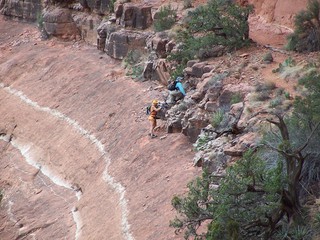 Zion National Park - Adam with mule deer in the background - Watchman hike