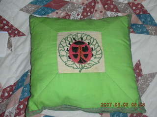 Mom's ladybug pillow