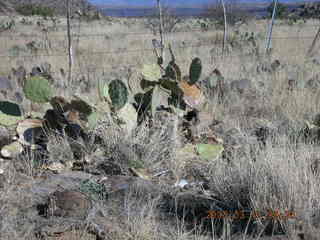 Bagdad Airport (E51) run