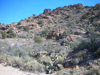 Bagdad run - saguaro cactus