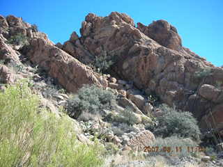Bagdad run - saguaro cacti