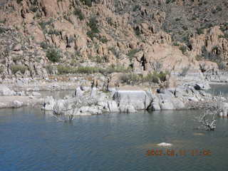 Bagdad run - saguaro cacti