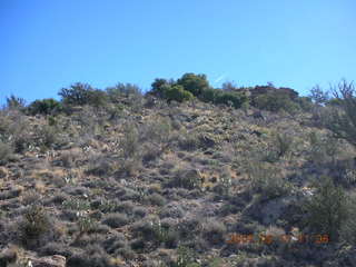 Bagdad run - saguaro cacti