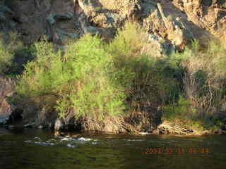 Salt River rafting trip