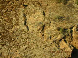 Salt River rafting trip