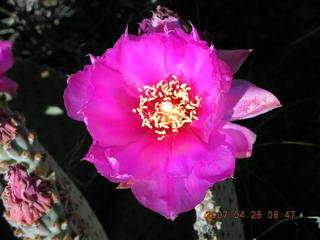 Bagdad run - Coors Lake fishing sign