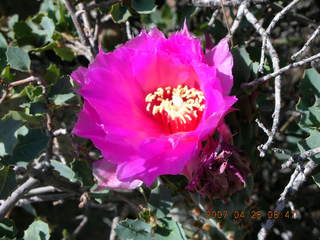 Bagdad run - Coors Lake