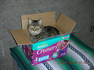 Gary and Jackie - Quealo the cat