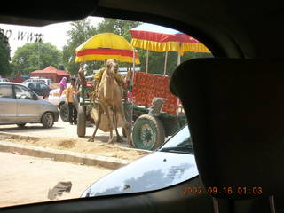 186 69e. Agra - camel