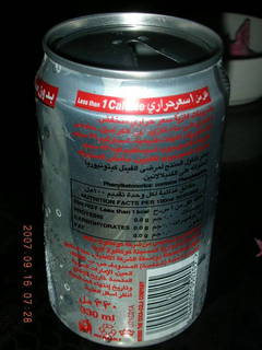 313 69e. Indian Diet Coke can