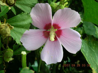Cheltenham High School math talks - Scott Eisner, Anthius Boone, Adam, Tim Johnson, Dave Wisch