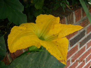 Cheltenham High School math talks - Scott Eisner, Anthius Boone, Adam, Tim Johnson, Dave Wisch