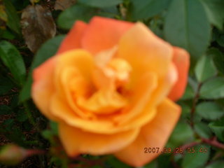 Kimmel Center in Philadelphia