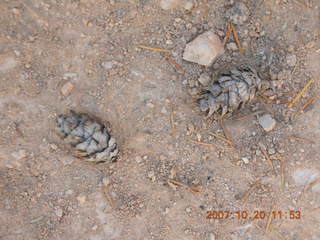 Tim's pictures - Jantar Mantar - Delhi, India