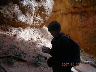 Bryce Canyon - Navajo loop - Two Bridges - Dee (backlit)
