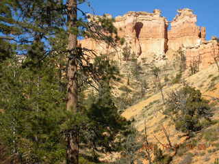 CHS-XC-2007 - Adam running at stone bridge