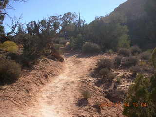 130 6be. Arches National Park - Devils Garden hike