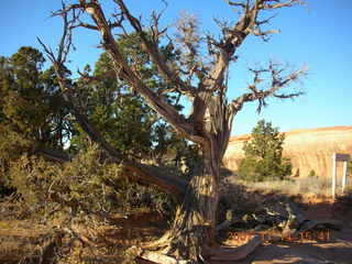 220 6be. Arches National Park - Devils Garden hike