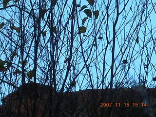 258 6bf. Moab - Negro Bill Trail