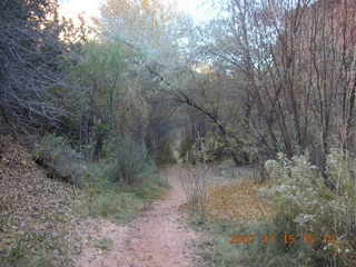 261 6bf. Moab - Negro Bill Trail