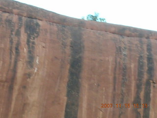 264 6bf. Moab - Negro Bill Trail