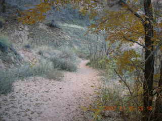 267 6bf. Moab - Negro Bill Trail