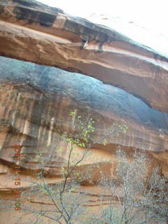 299 6bf. Moab - Negro Bill Trail