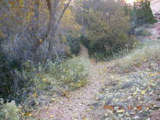 311 6bf. Moab - Negro Bill Trail