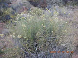 320 6bf. Moab - Negro Bill Trail