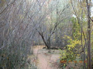 334 6bf. Moab - Negro Bill Trail