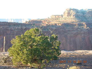 31 6bg. Canyonlands National Park - Lathrop Trail hike