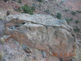 39 6bg. Canyonlands National Park - Lathrop Trail hike