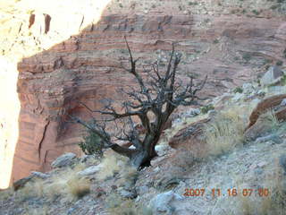 41 6bg. Canyonlands National Park - Lathrop Trail hike