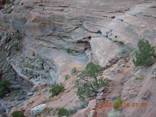 43 6bg. Canyonlands National Park - Lathrop Trail hike