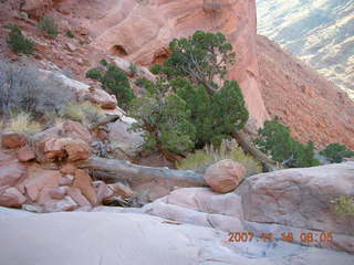46 6bg. Canyonlands National Park - Lathrop Trail hike
