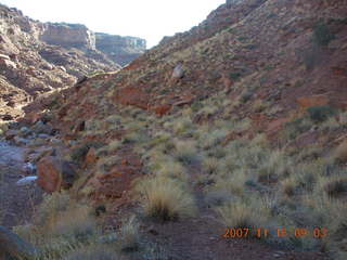68 6bg. Canyonlands National Park - Lathrop Trail hike