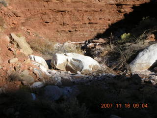 76 6bg. Canyonlands National Park - Lathrop Trail hike
