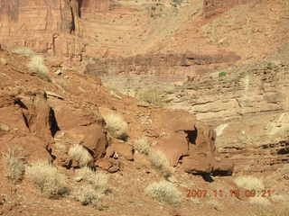 83 6bg. Canyonlands National Park - Lathrop Trail hike
