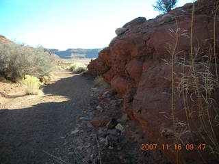 111 6bg. Canyonlands National Park - Lathrop Trail hike